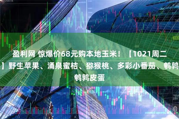 盈利网 惊爆价68元购本地玉米！【1021周二提货】野生苹果、涌泉蜜桔、猕猴桃、多彩小番茄、鹌鹑皮蛋
