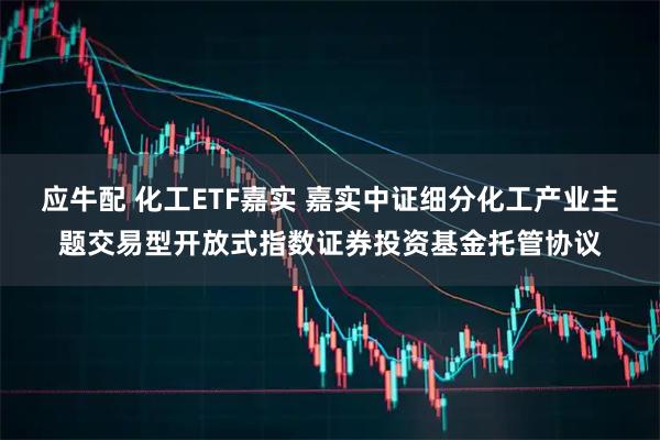 应牛配 化工ETF嘉实 嘉实中证细分化工产业主题交易型开放式指数证券投资基金托管协议