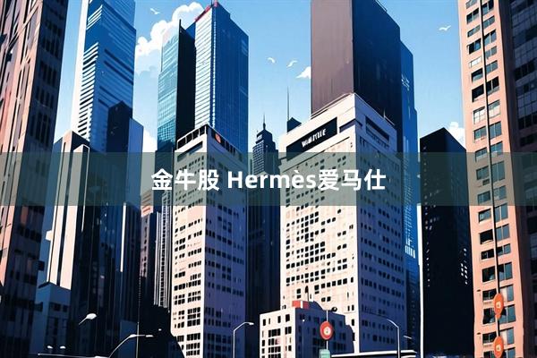 金牛股 Hermès爱马仕
