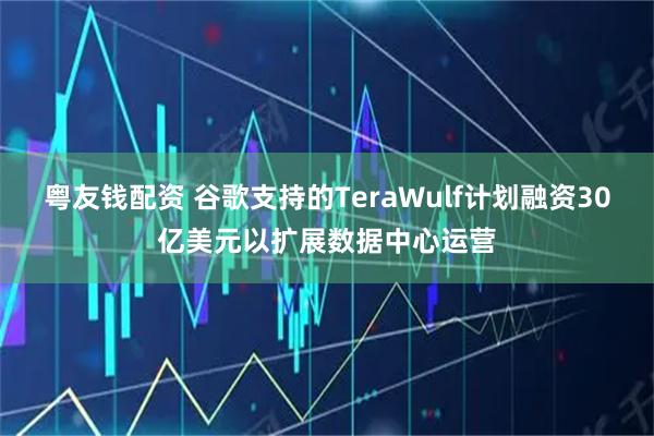 粤友钱配资 谷歌支持的TeraWulf计划融资30亿美元以扩展数据中心运营