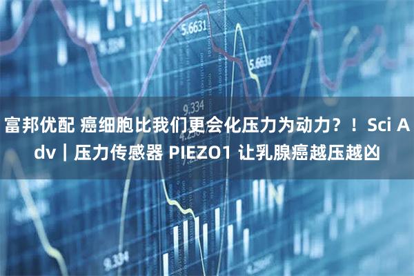 富邦优配 癌细胞比我们更会化压力为动力？！Sci Adv｜压力传感器 PIEZO1 让乳腺癌越压越凶