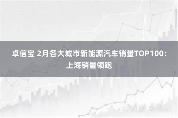 卓信宝 2月各大城市新能源汽车销量TOP100：上海销量领跑