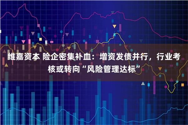 维嘉资本 险企密集补血：增资发债并行，行业考核或转向“风险管理达标”