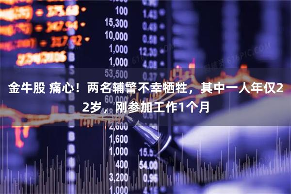 金牛股 痛心！两名辅警不幸牺牲，其中一人年仅22岁，刚参加工作1个月